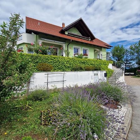 Green House Apartment Pivka Exterior foto